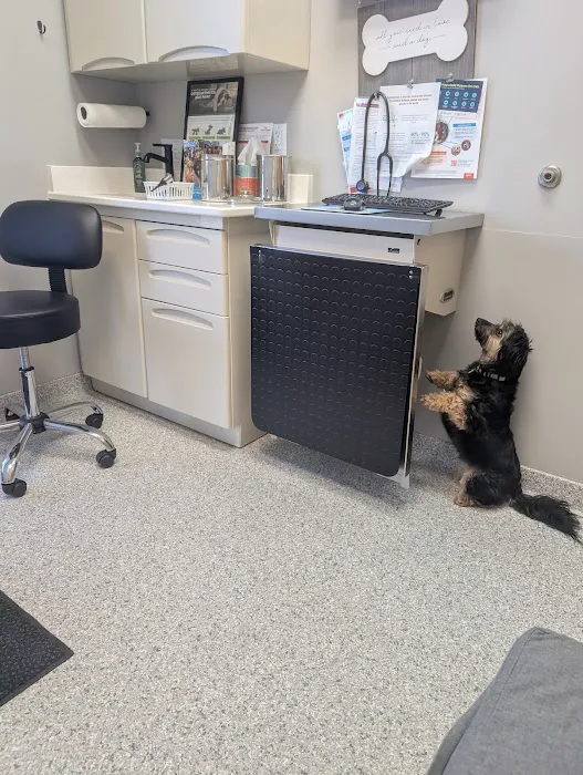 Shoreview North Oaks Animal Hospital Picture 5