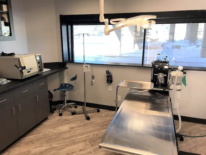Access Veterinary Care Picture 3