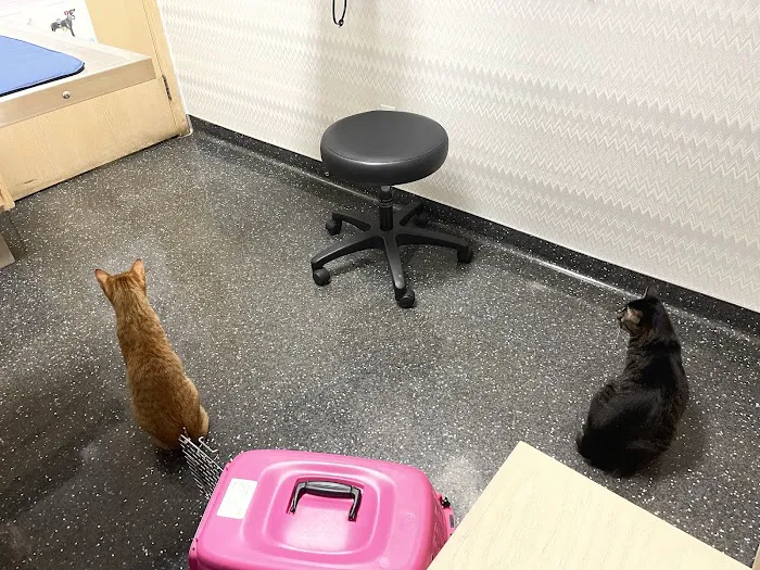 New Hope Animal Hospital Picture 2