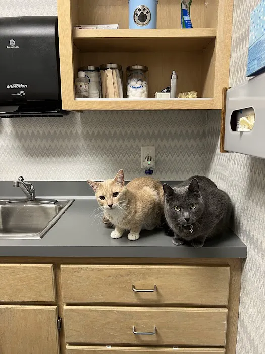 New Hope Animal Hospital Picture 1