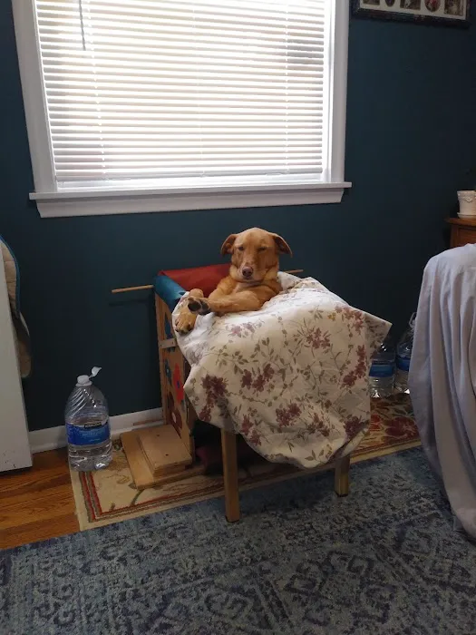 New Hope Animal Hospital Picture 7