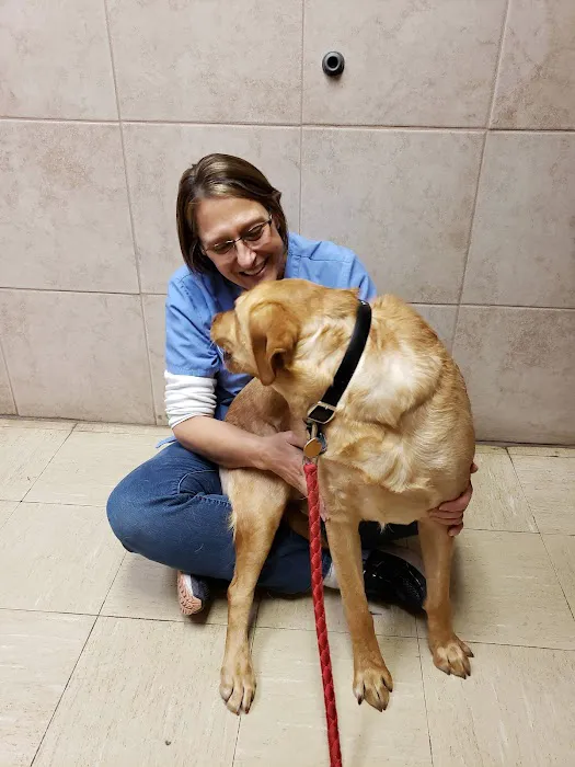 Northbrook Animal Hospital Picture 7