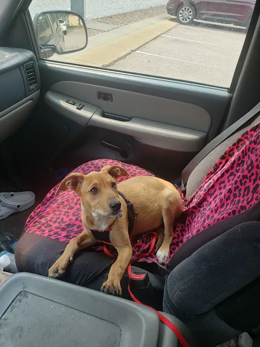 Northbrook Animal Hospital Picture 4