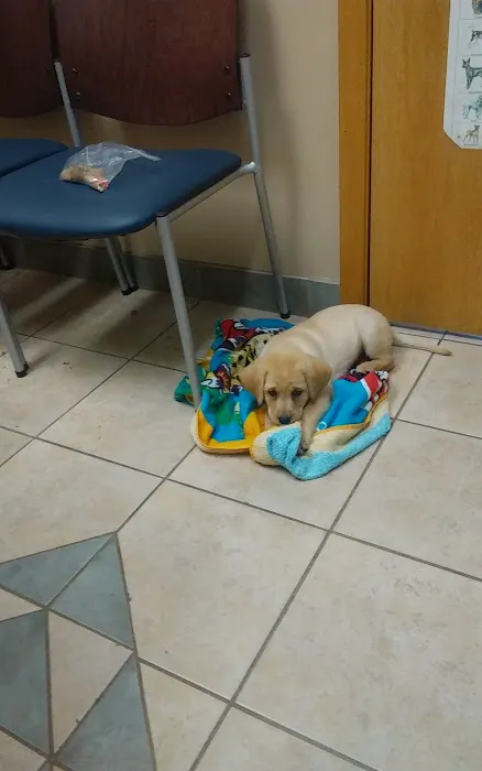 Brookdale Animal Hospital Picture 6