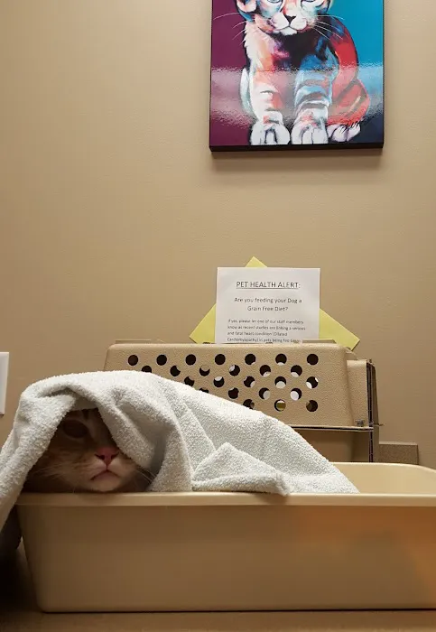 Brookdale Animal Hospital Picture 8