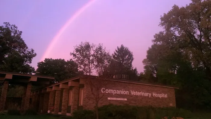 Companion Veterinary Hospital Picture 4