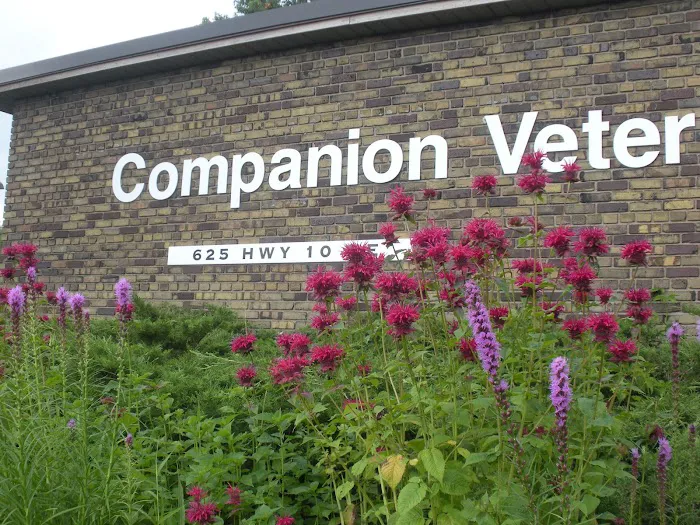 Companion Veterinary Hospital Picture 3