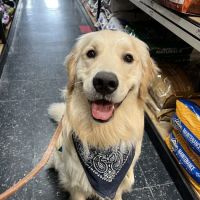 Murray Animal Hospital ico