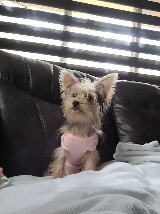 Murray Animal Hospital Picture 2