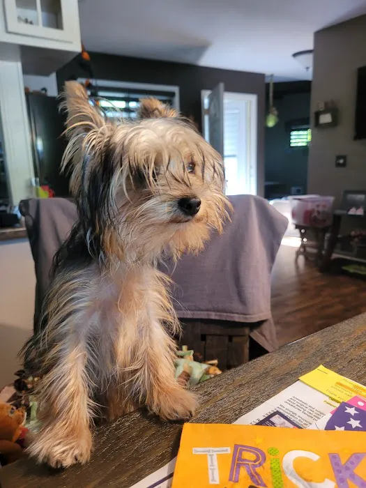 Murray Animal Hospital Picture 5