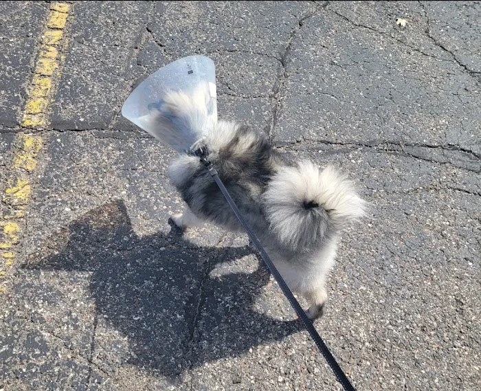 Murray Animal Hospital Picture 6