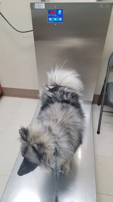 Murray Animal Hospital Picture 7