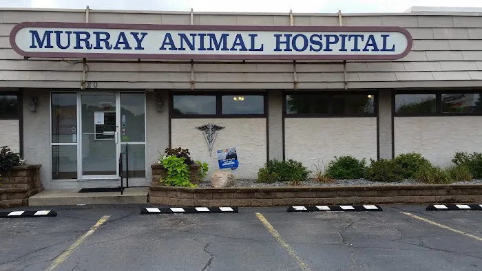 Murray Animal Hospital Picture 9