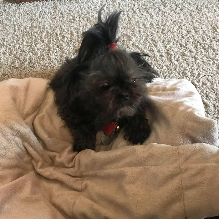 Murray Animal Hospital Picture 10