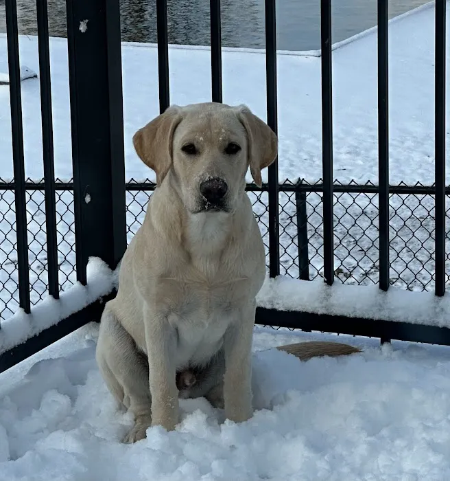 Animal Emergency & Referral Center of Minnesota (AERC) Picture 7
