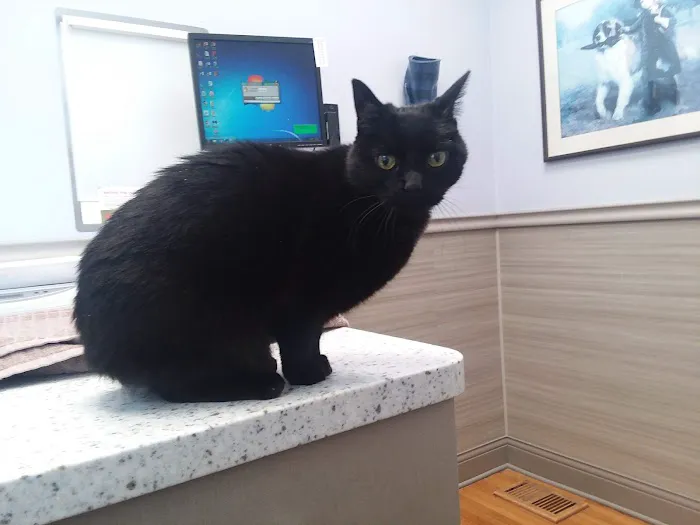 Grand Avenue Veterinary Center Picture 5