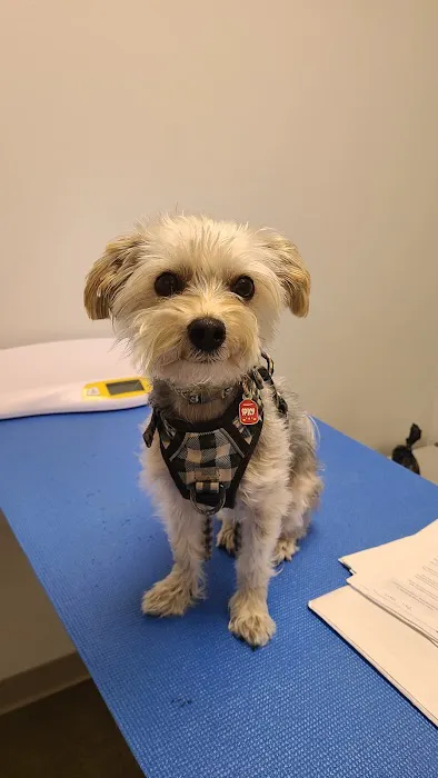 Animal Humane Society Veterinary Center Picture 8
