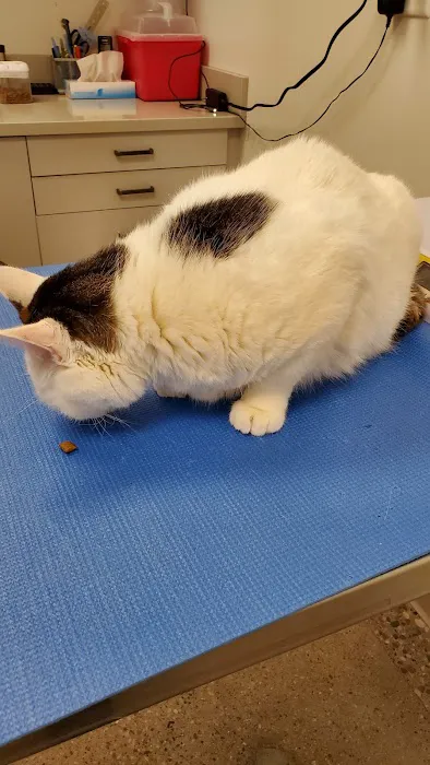 Animal Humane Society Veterinary Center Picture 10