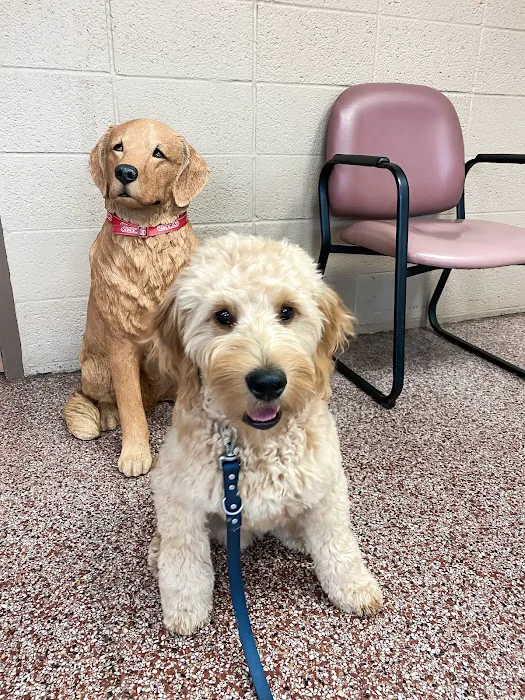 Hopkins Pet Hospital Picture 1