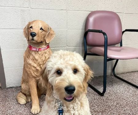 Hopkins Pet Hospital