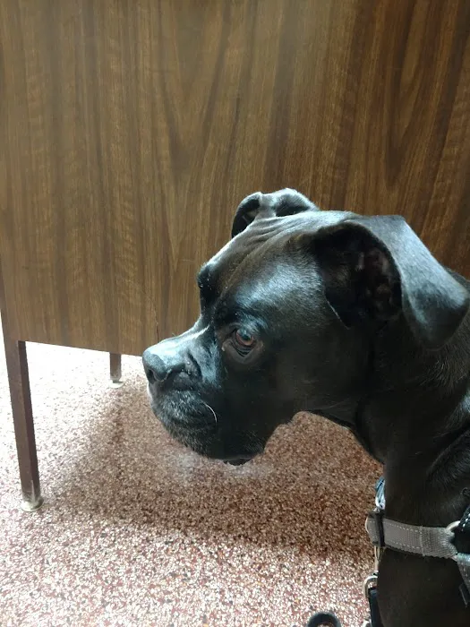 Hopkins Pet Hospital Picture 9