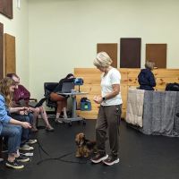 Veterinary Behavior Specialties of Minnesota ico