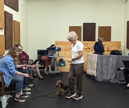 Veterinary Behavior Specialties of Minnesota
