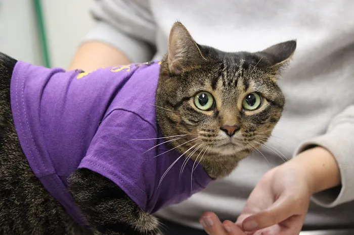 St. Paul Pet Hospital Picture 5