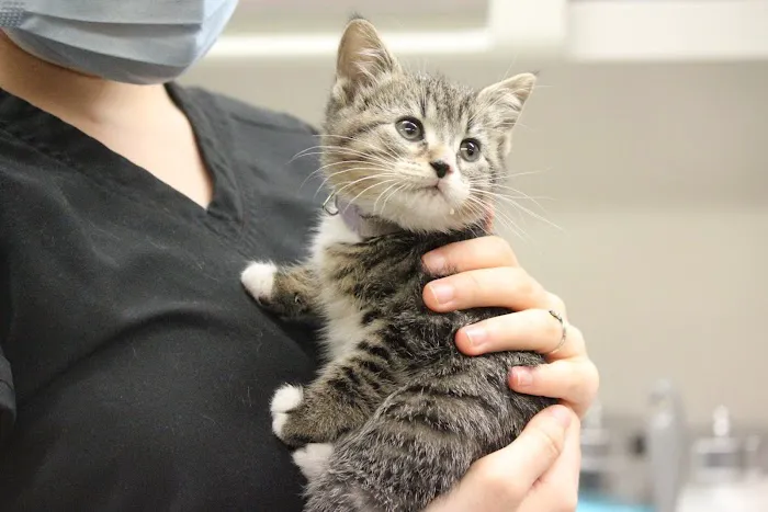 St. Paul Pet Hospital Picture 7