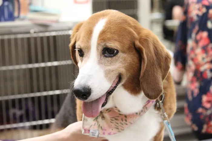 St. Paul Pet Hospital Picture 8