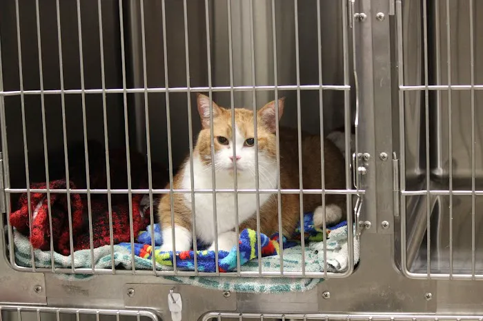 St. Paul Pet Hospital Picture 9