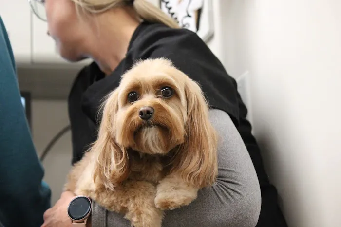 St. Paul Pet Hospital Picture 10