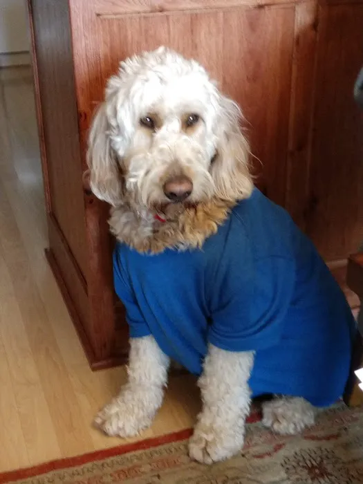 Gehrman Animal Hospital Picture 5