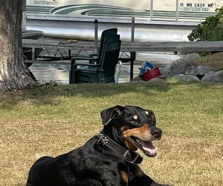 WellHaven Pet Health Minnetonka