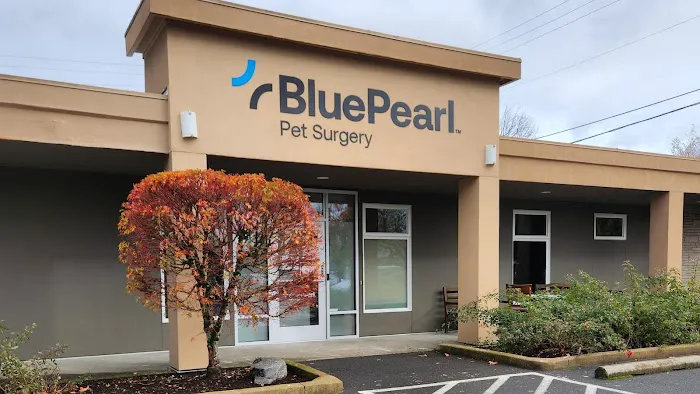 BluePearl Pet Surgery Picture 3