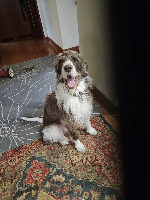 Laurelwood Animal Hospital Picture 7