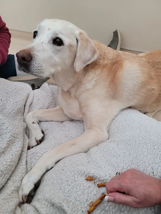 Laurelwood Animal Hospital: Erdman Lynn F DVM Picture 1