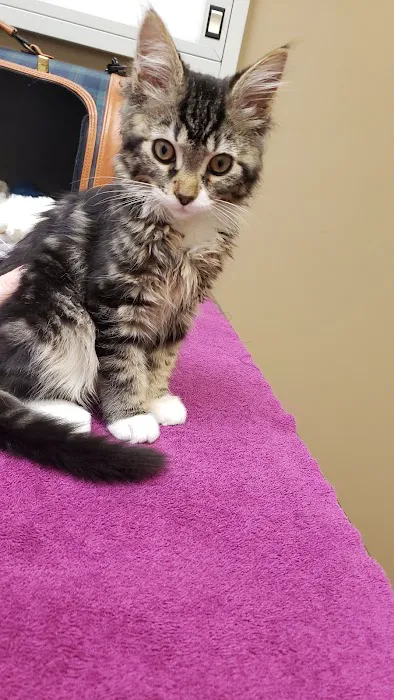 Beaverton Pet Clinic Picture 3