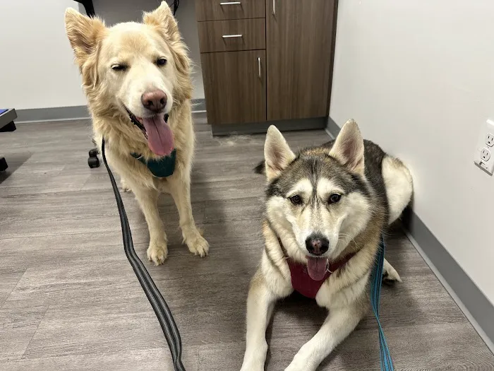 Beaverton Pet Clinic Picture 5