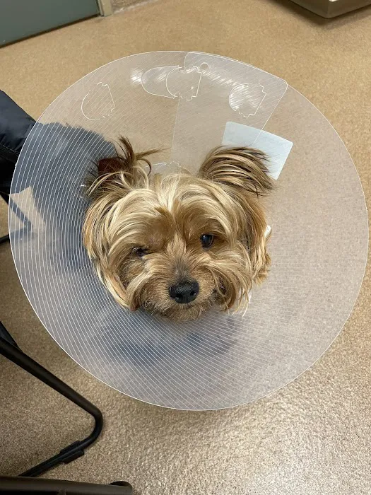 Beaverton Pet Clinic Picture 7