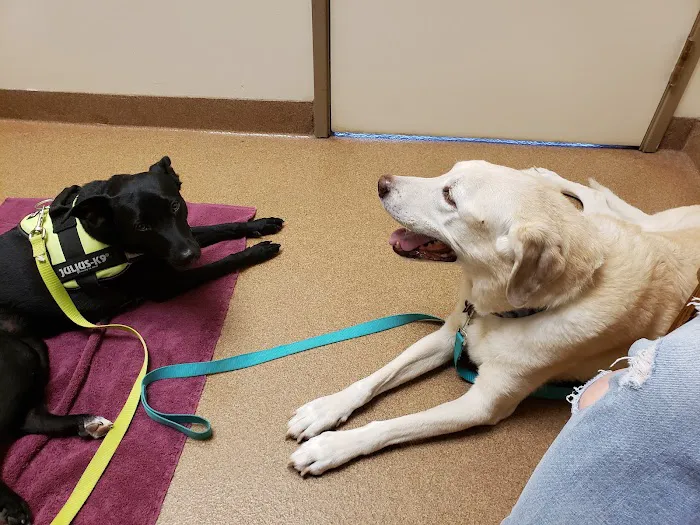 Beaverton Pet Clinic Picture 8
