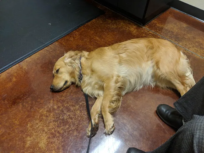 Cascade Veterinary Referral Center Picture 2