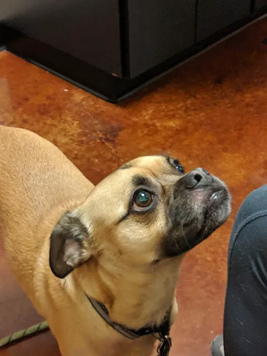 Cascade Veterinary Referral Center Picture 5