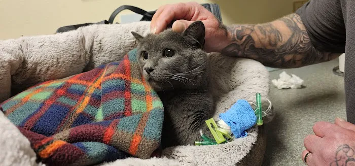 Cascade Veterinary Referral Center Picture 8