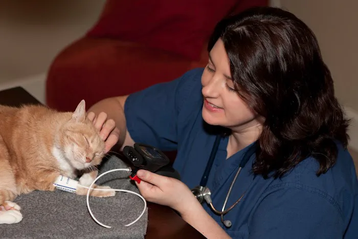 At Home Veterinary Services Picture 3