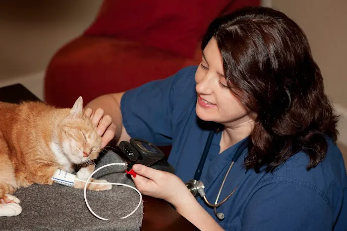 At Home Veterinary Services Picture 1