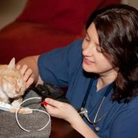 At Home Veterinary Services ico
