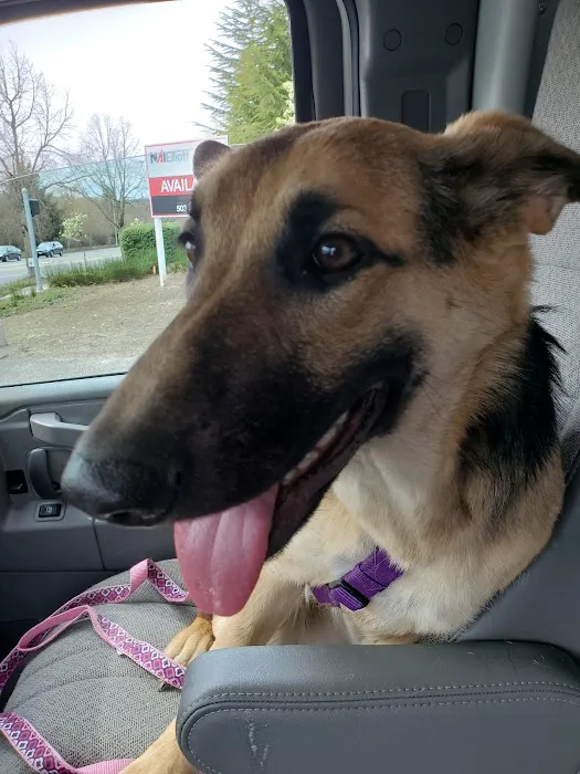 Banfield Pet Hospital Picture 8