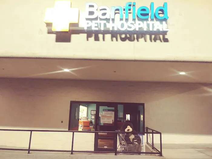 Banfield Pet Hospital Picture 10
