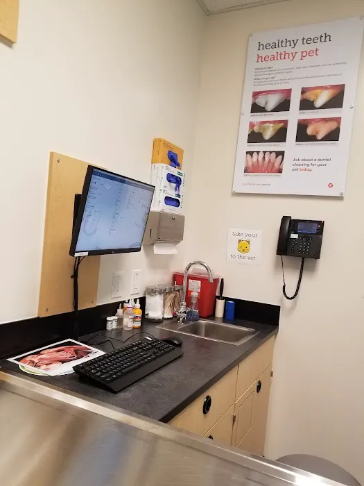Banfield Pet Hospital Picture 10